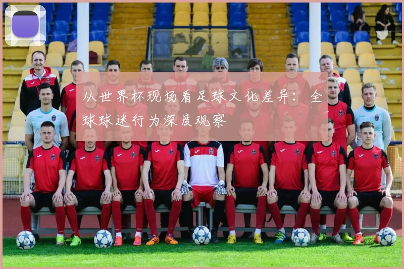 从世界杯现场看足球文化差异:全球球迷行为深度观察