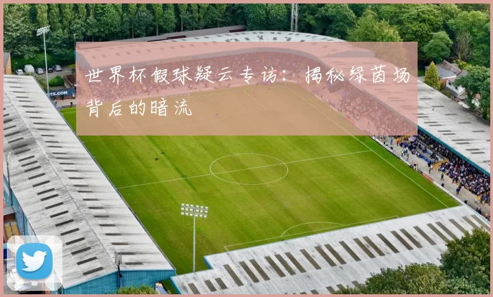 世界杯假球疑云专访:揭秘绿茵场背后的暗流