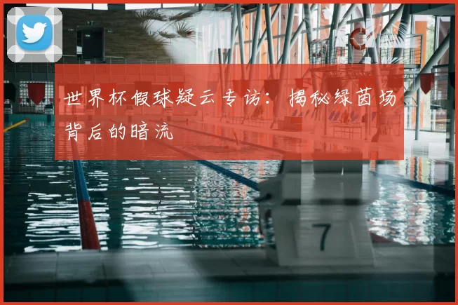 世界杯假球疑云专访:揭秘绿茵场背后的暗流
