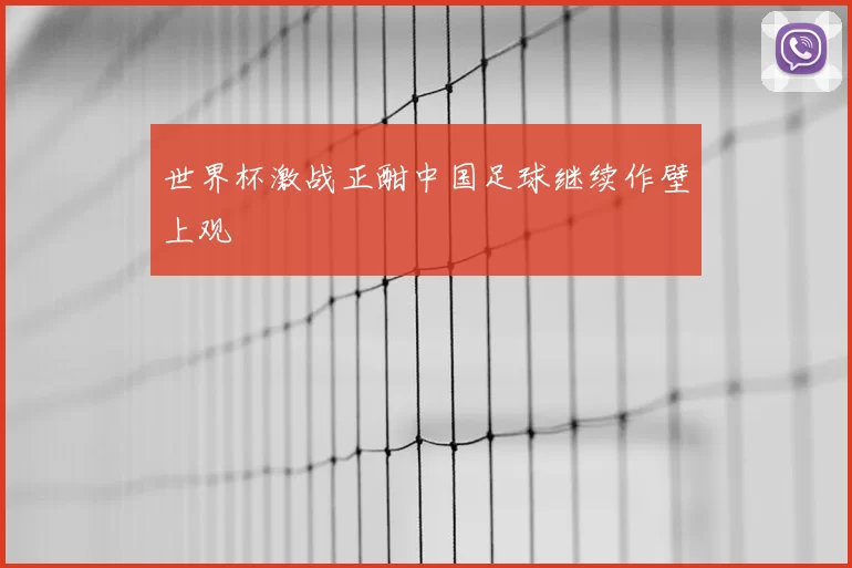 世界杯激战正酣中国足球继续作壁上观