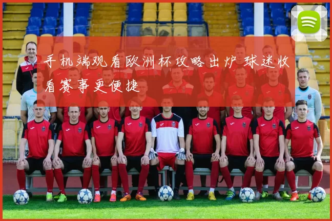 手机端观看欧洲杯攻略出炉 球迷收看赛事更便捷