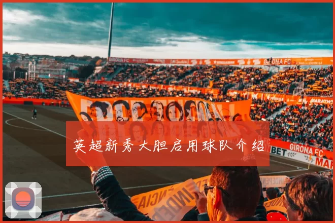 英超新秀大胆启用球队介绍
