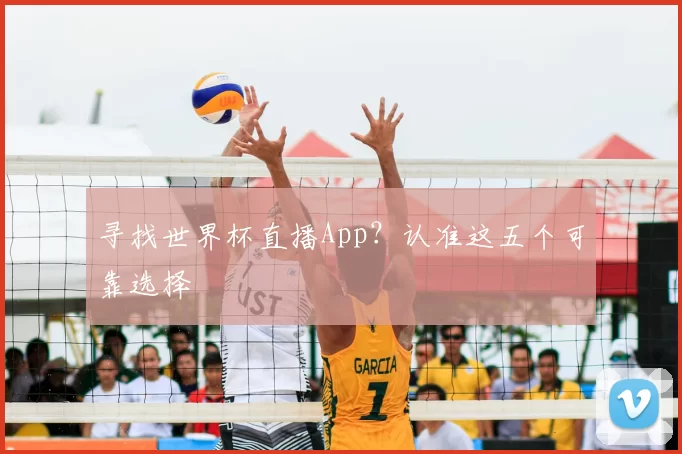 寻找世界杯直播App?认准这五个可靠选择
