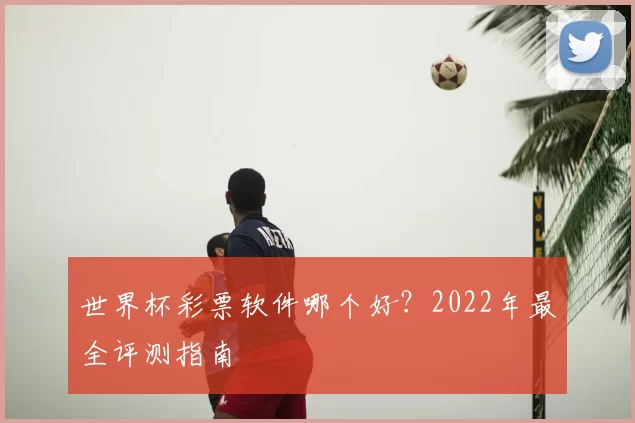 世界杯彩票软件哪个好?2022年最全评测指南