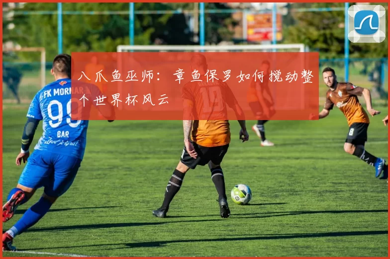 八爪鱼巫师:章鱼保罗如何搅动整个世界杯风云