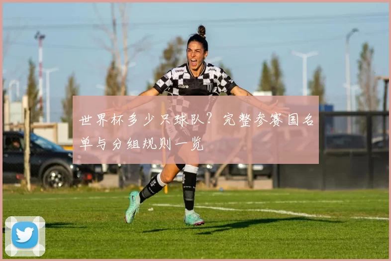 世界杯多少只球队?完整参赛国名单与分组规则一览