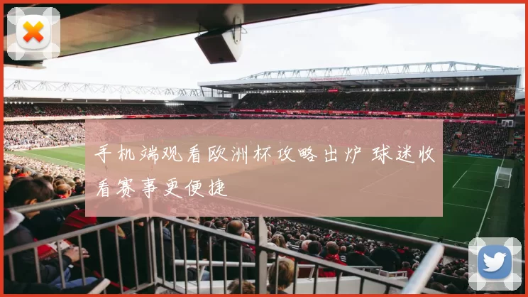 手机端观看欧洲杯攻略出炉 球迷收看赛事更便捷