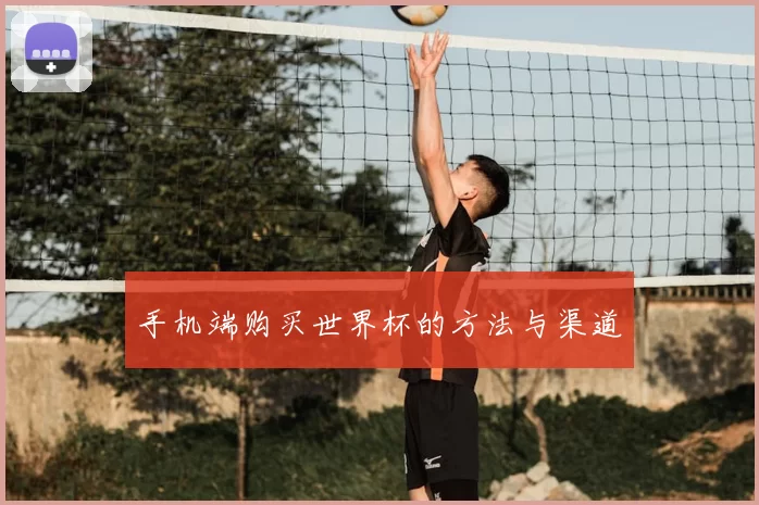 手机端购买世界杯的方法与渠道