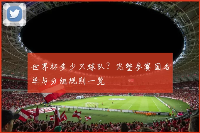 世界杯多少只球队？完整参赛国名单与分组规则一览