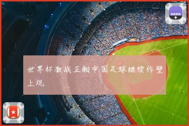 世界杯激战正酣中国足球继续作壁上观