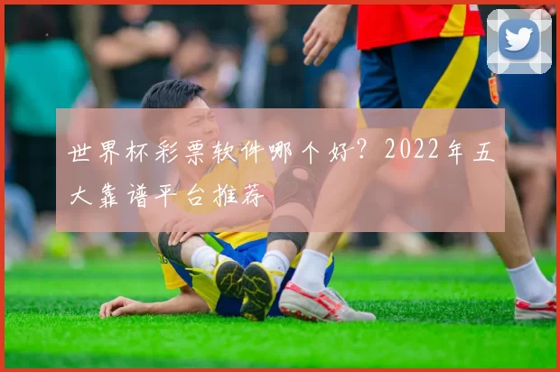 世界杯彩票软件哪个好？2022年五大靠谱平台推荐