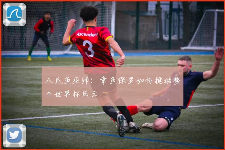 八爪鱼巫师:章鱼保罗如何搅动整个世界杯风云