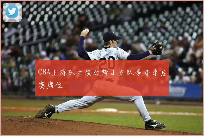 CBA上海队主场对阵山东队争夺季后赛席位