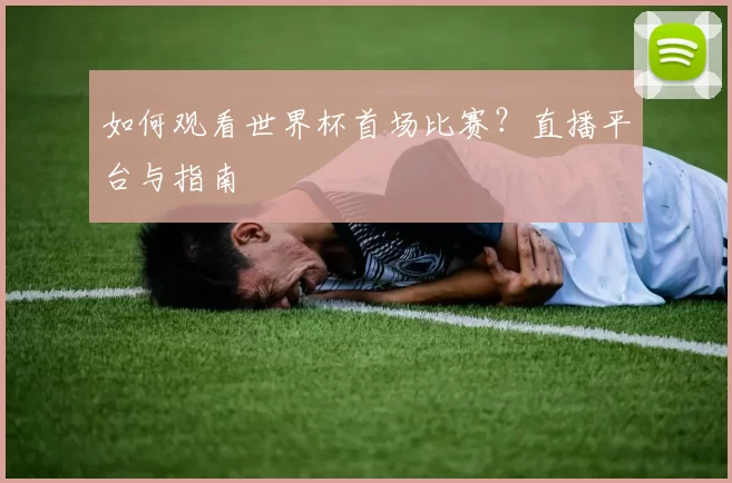 如何观看世界杯首场比赛?直播平台与指南
